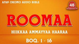 Roomaa 45 《#Hiikkaa_Ammayyaa_Haaraa》Afan Oromo Audio Bible