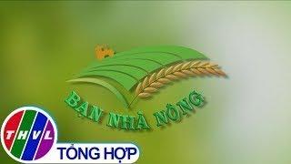 Bạn nhà nông - Kỳ 193: Cải tạo đất, thiết lập vườn