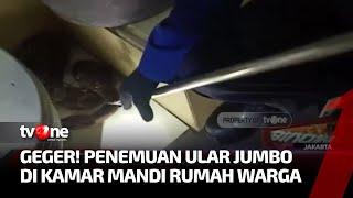 Damkar Evakuasi Ular Sanca yang Tiba tiba Muncul di Kamar Mandi Rumah Warga | Kabar Utama tvOne