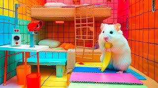 Best Escape Maze: Hamster Crossing the Glass Bridge to Freedom  Hamster Maze