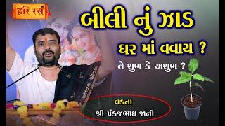 બીલી નું ઝાડ  ઘરે વવાય ? | તે શુભ કે અશુભ  ?| Bili Nu Jaad Ghare Vavay ? | Pankajbhai Jani | HARIRAS