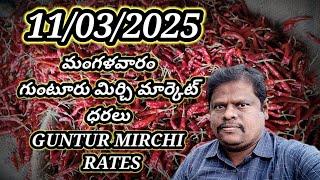 11 March 2025 GUNTUR MIRCHI MARKET RATES గుంటూరు మిర్చి మార్కెట్ ధరలు