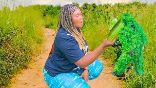 THE BEST OF BUSHMAN PRANK! SUMMER COMPILATION