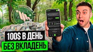 GRASS AIRDROP - 4 ЕПОХА | Повний гайд по абузу Grass | Пасивний дохід без вкладень