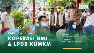 VAKSINASI PFIZER || Koperasi BMI & LPDB-KUMKM