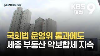 국회법 운영위 통과에도 세종 부동산 약보합세 지속 / KBS 2021.09.05.