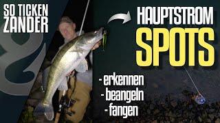 Wobbler-Spots zum Zanderangeln im Hauptstrom finden! So ticken Zander!