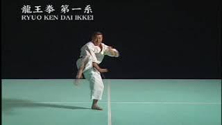 Waza Ryuo Ken Dai Ikkei, Shorinji Kempo