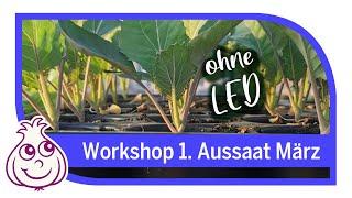 Erste Aussaat im März | Workshop Teil 8