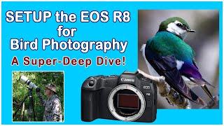 Setup the Canon EOS R8 for Bird Photography: A Deep Dive into the Buttons, Dials, Menu & AF System.