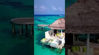 Experiencing The World's Most Luxurious Resort In Maldives! 