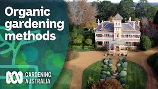Organic gardening tips and tricks for big and small gardens | Organic methods | Gardening Australia