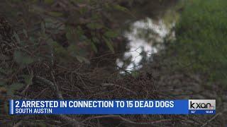 Two arrested in connection to 15 dead dogs found in south Austin creek