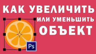 Как Увеличить (уменьшить) Объект в Photoshop