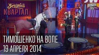 Тимошенко на воле, встречают - Янукович, Кличко, Луценко, Яценюк | Вечерний Квартал 19. 04.  2014