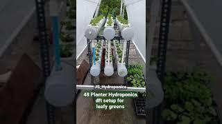 Trial setup for Hydroponic Lovers; Contact @9300756573; #JS_Hydroponics