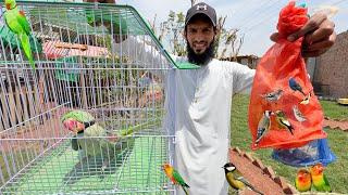 Birds Aviary K Liye New Birds Ly Aiye 