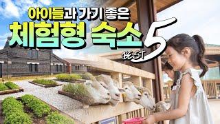 가족여행 고민 끝! 아이와 가기 좋은 국내 체험형 호텔&리조트 BEST 5