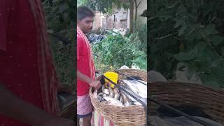 fish seller on village street. beautiful villagelife. #villagelife #fish