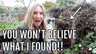 I FOUND COMPOST!!! / ALLOTMENT GARDENING UK