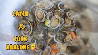 ABALONE | CATCH & COOK (lapas/kinhason) | #GonPrixOfficial - v11