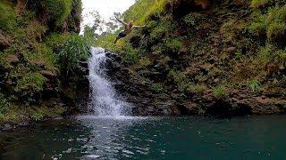 Black River Gorges Waterfalls