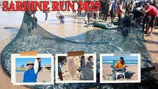 Sardine Run 2025 - Shad Smash - Catch & Cook - Fishing South Africa