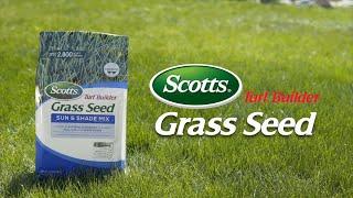 How to Use Scotts® Turf Builder® Grass Seed With 4-in-1 WaterSmart® PLUS Coating Technology