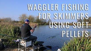 Waggler Fishing for Skimmers using Soft Pellets