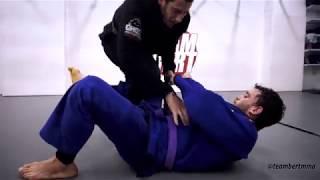 Reverse DLR / Spider Guard Sweep  - Knee Slice Guard Pass - Armbar