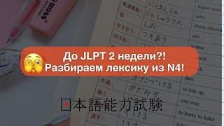 РАЗБИРАЕМ ЗАДАНИЕ ИЗ JLPT N4 // ЛЕКСИКА