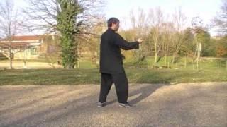 13 postures - Yangjia Michuan Taiji Quan