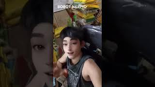 BOBOT NERPIO