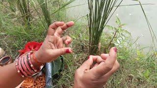 Lalahi chhath OR Hal chhath kyoun manaya jata hai || हल छठ की शुरुआत कब हुई थी