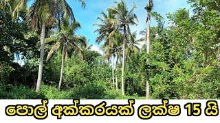 පොල් අක්කර 10 යි - ලක්ෂ 15 යි | Coconut land sale in srilanka | idam lanka