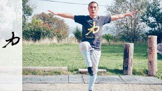 20 Mins Re-Energising Kung Fu Workout - - Qi Gong Breathing, Yi jin Jing,  Ba Duan Jin & Kung Fu