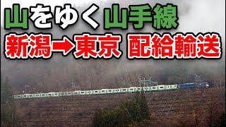 【新潟→東京】山奥を走る山手線E235系 １度きりの新津配給【最終編成】 湯檜曽駅→大崎駅 12/17-02