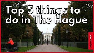 Top 5 things to do in The Hague | I amsterdam