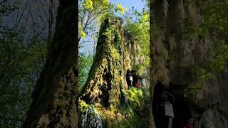 Втекти з дому: мандри в природу