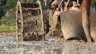 Farmers special || whatsapp status video || Happy FARMER'S day || Bangladesh farmers