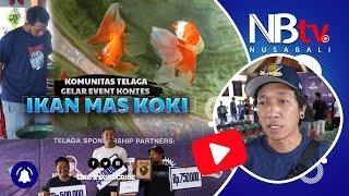 Komunitas Telaga Koki Bali Gelar Event Kontes Ikan Mas Koki