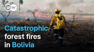 How fires are destroying Bolivia's forests | DW Documentary