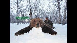 Hunting Bear and Capercaillie on Kamchatka with Westfalia Jagdreisen - Part 2