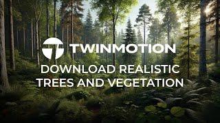 Twinmotion 2024.1 - Get Realistic Trees And Vegetation In Two Steps