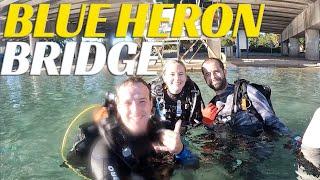 BEST SHORE Dive In North America - Blue Heron Bridge In Florida - Ep 94