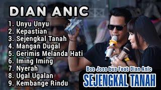 FULL ALBUM DIAN ANIC BOS JOSS BUS terbaru 2024