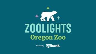 Experience The Magic Of ZooLights