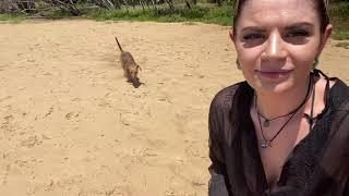 Adventures with Jade and Snoopy - Beach Day