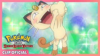 ¡Meowth está enamorado de Glameow! | Pokémon: DP Los vencedores de la Liga de Sinnoh | Clip oficial