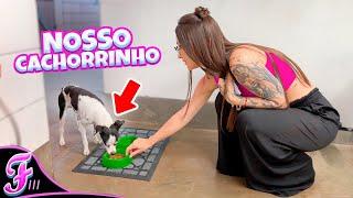 LEVAMOS COMIDA PRO NOSSO CACHORRINHO - Fran Japa